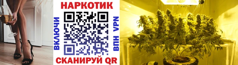 Купить закладку COCAIN  Меф  ГАШИШ  Бошки Шишки  Новочебоксарск