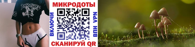 Купить закладки  Новочебоксарск  Галлюциногенные грибы Psilocybine cubensis 